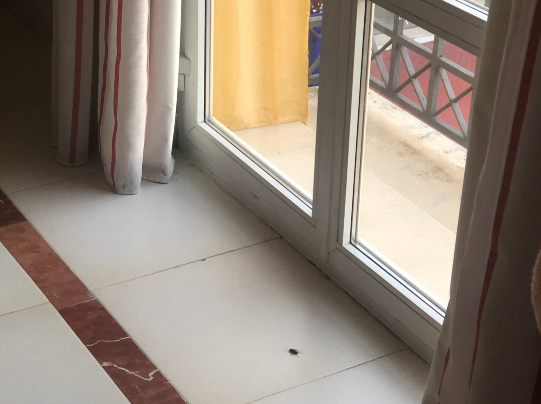 索卢卡尔格兰酒店主图