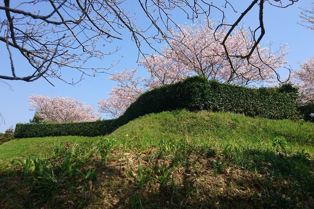 Yokosuka  Ruins Of A Castle　Park景点图片
