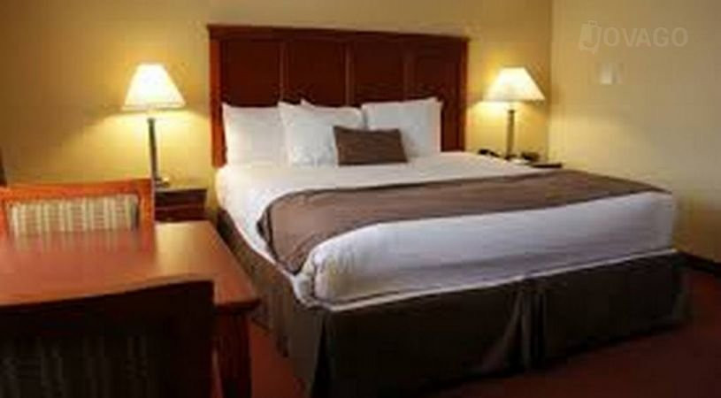 Elct Bukoba Hotel and Tours主图