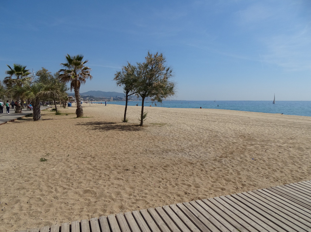 Playa de la Estacion景点图片