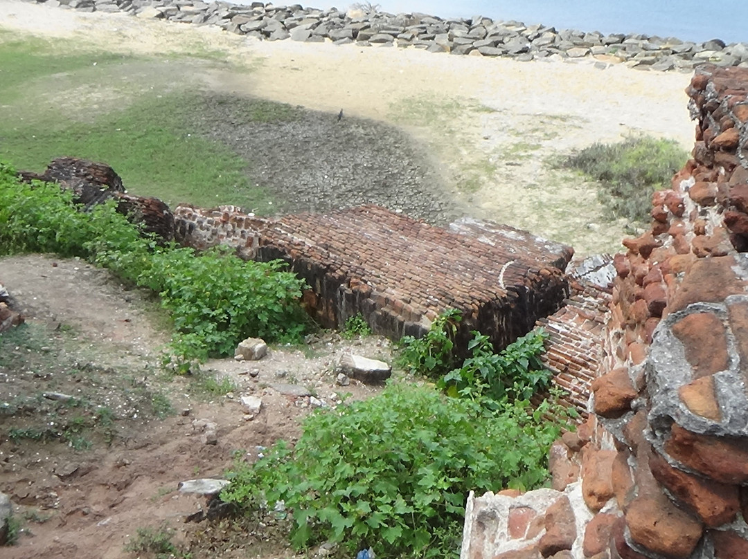 The Doric at Arippu-马纳尔必去景点