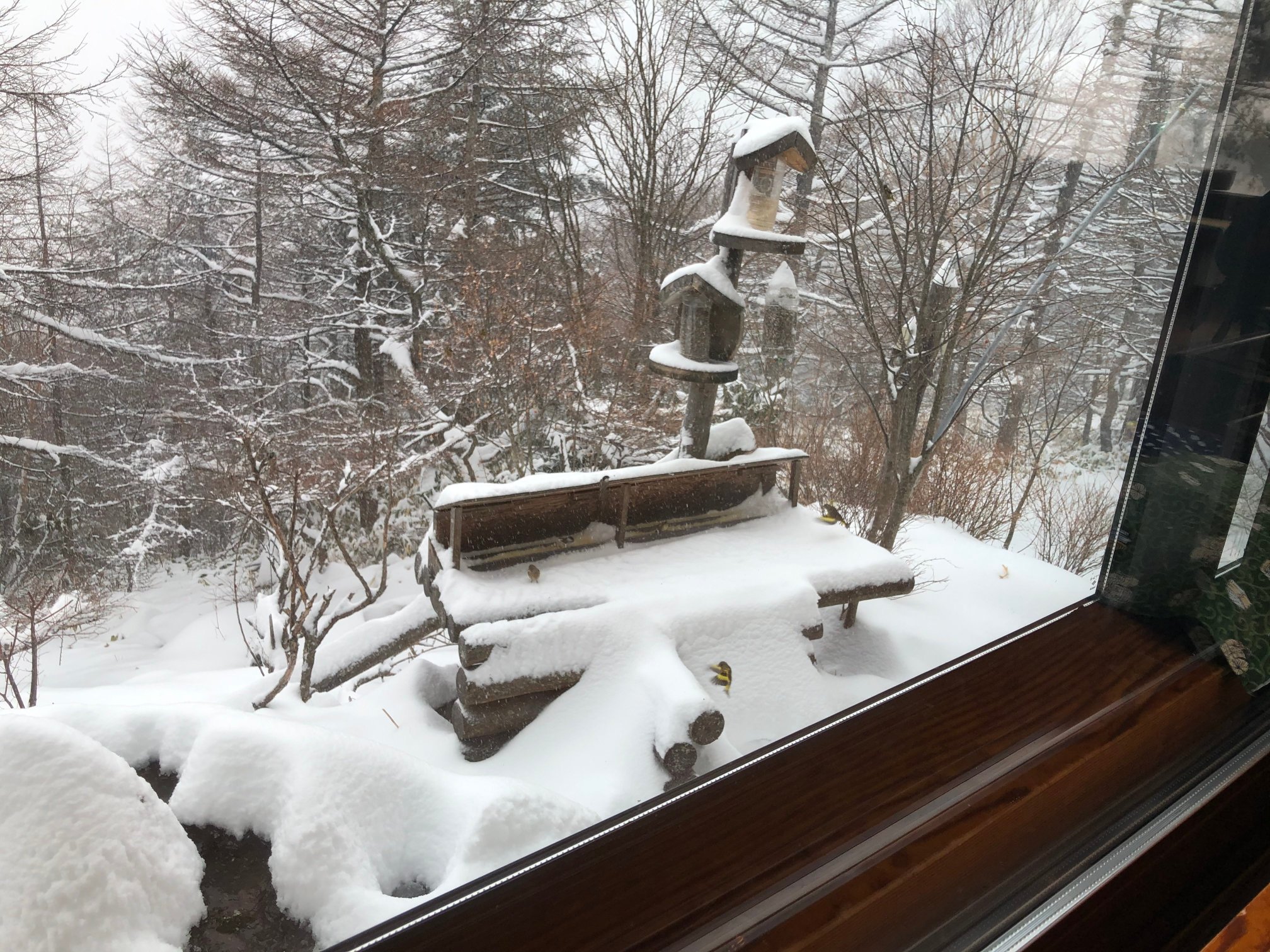 Takamine Onsen-酒店景观