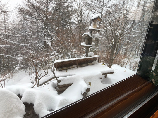 Takamine Onsen主图