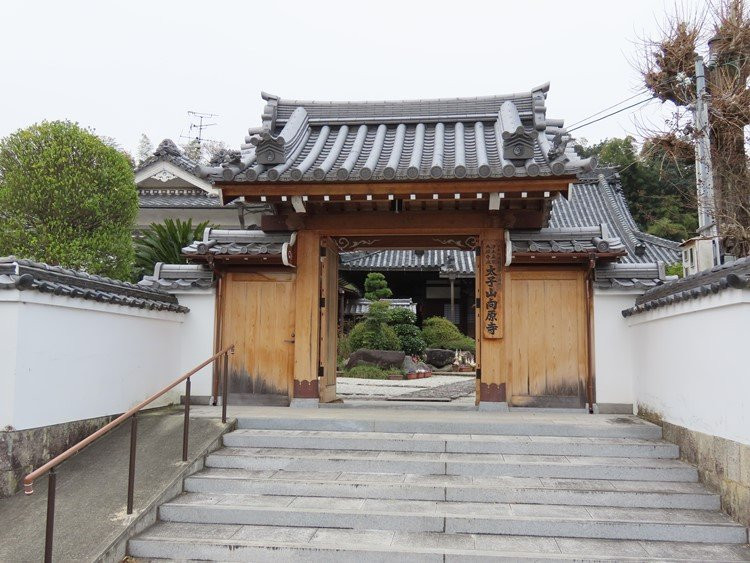 Kogen-ji Temple景点图片