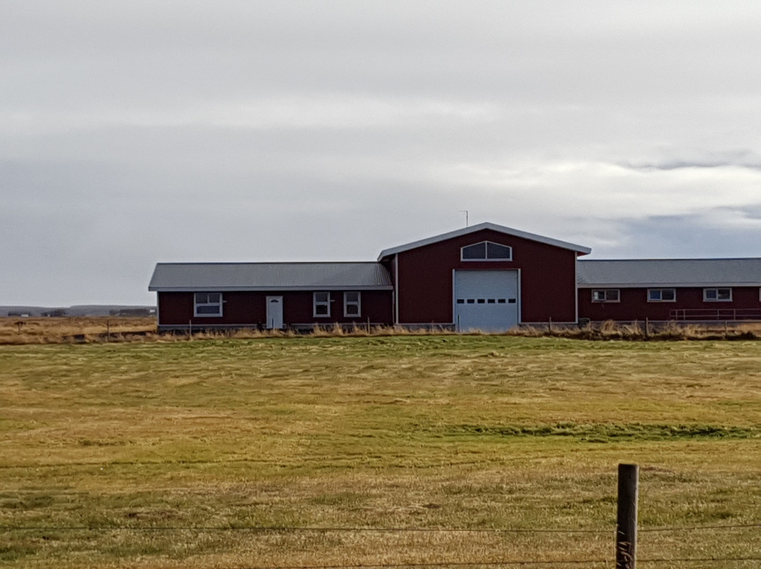 Skalatjorn Guesthouse主图