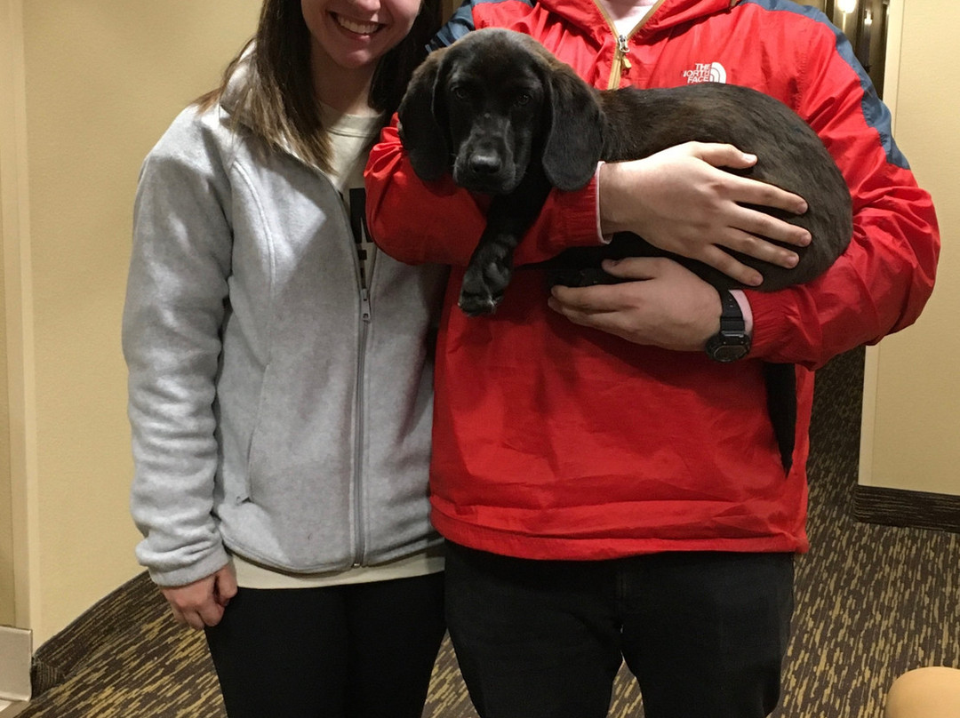 Extended Stay America - Providence - West Warwick主图