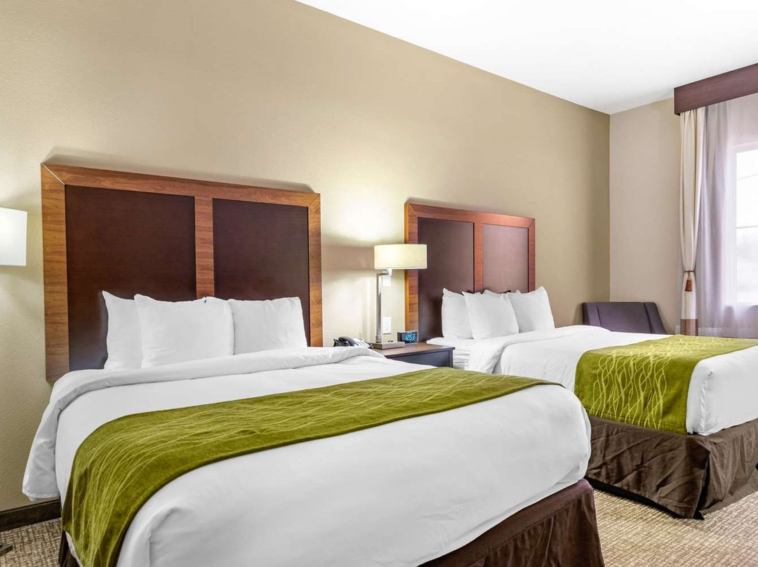 Comfort Inn & Suites Lakeside主图