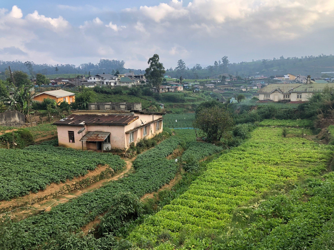 努瓦拉埃利亚巿及茶乡-奴娃拉伊利雅必去景点