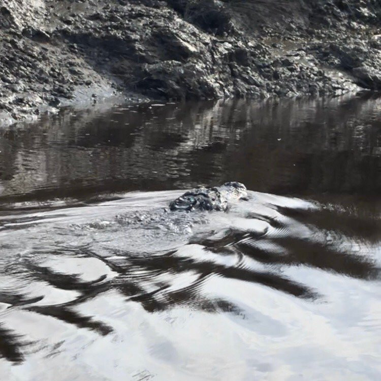 Captain David Newlin Fishing Charters-里士满希尔必去景点