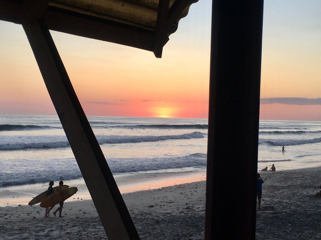 Cocobolo Surf Hotel & School主图