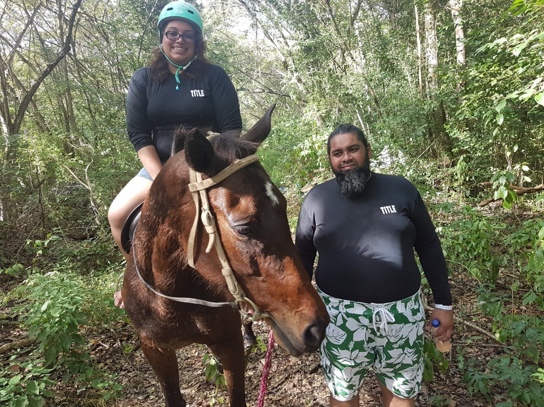Friendship Riding Stables-Canaan必去景点