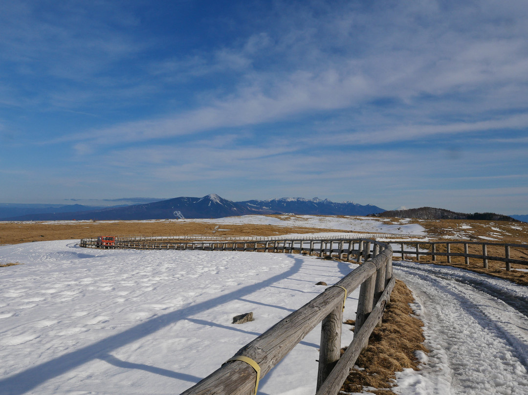 Utsukushi Tower-松本市必去景点