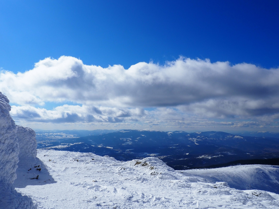 Babiogórski National Park-Zawoja必去景点