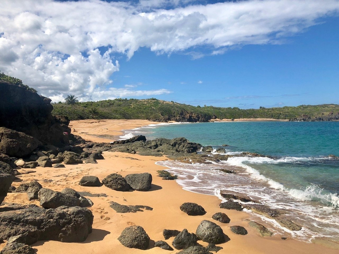 Playa Escondida-法哈多必去景点