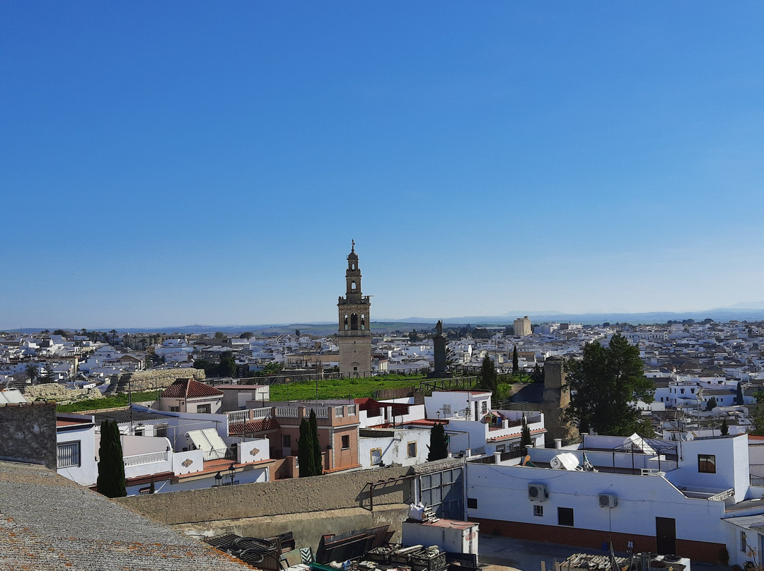 Ruinas del Castillo景点图片