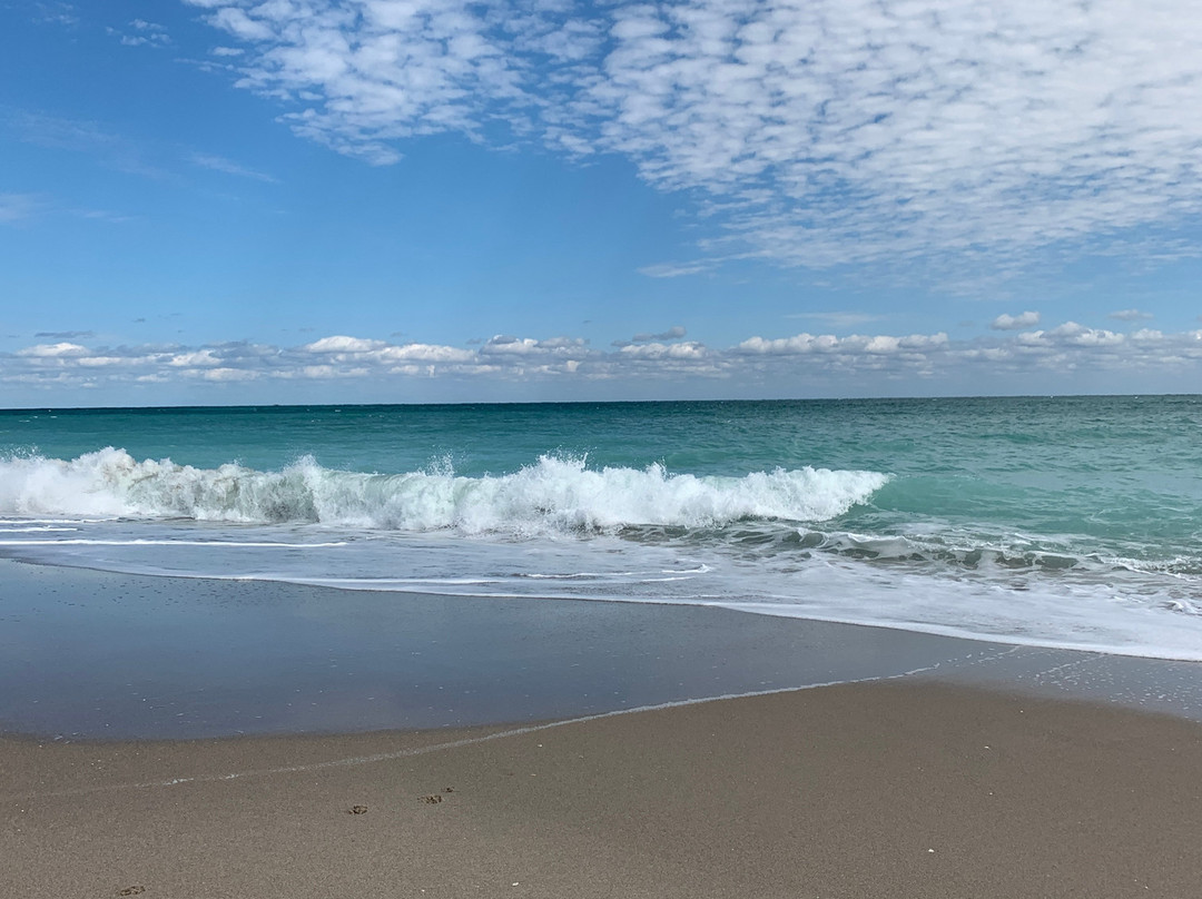 Jupiter Dog Beach-朱庇特必去景点