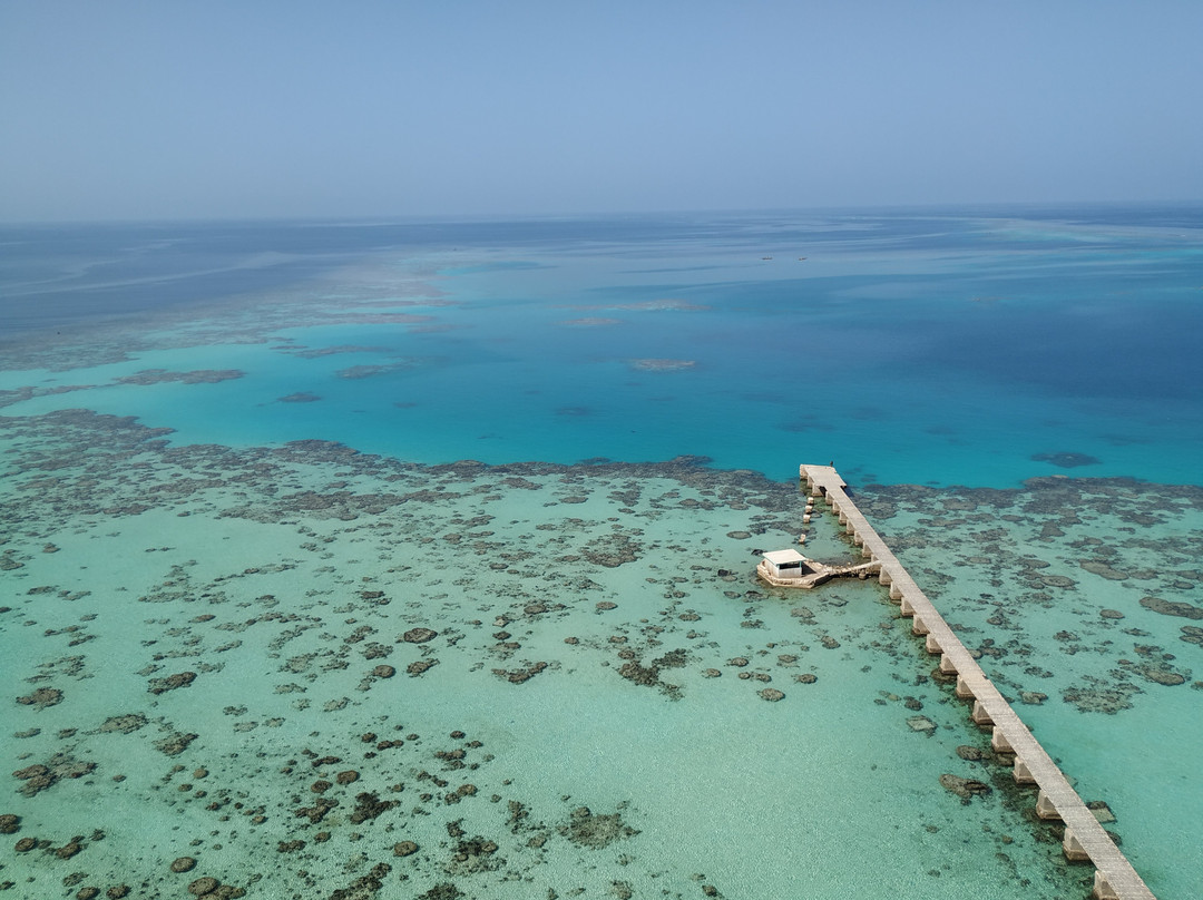 Sanganeb National Park-Port Sudan必去景点