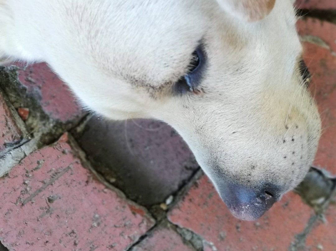 Moreson-法兰舒克必去景点