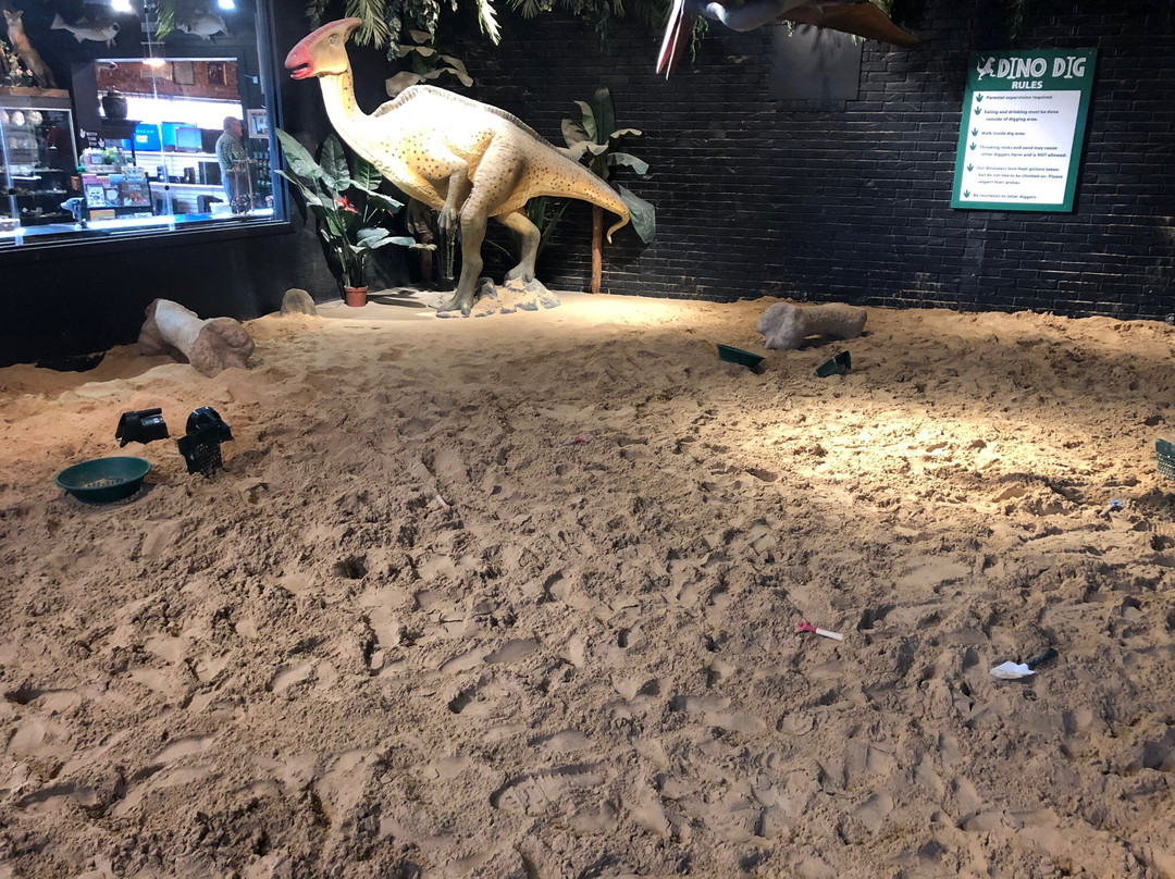 Dino Dig-Murfreesboro必去景点