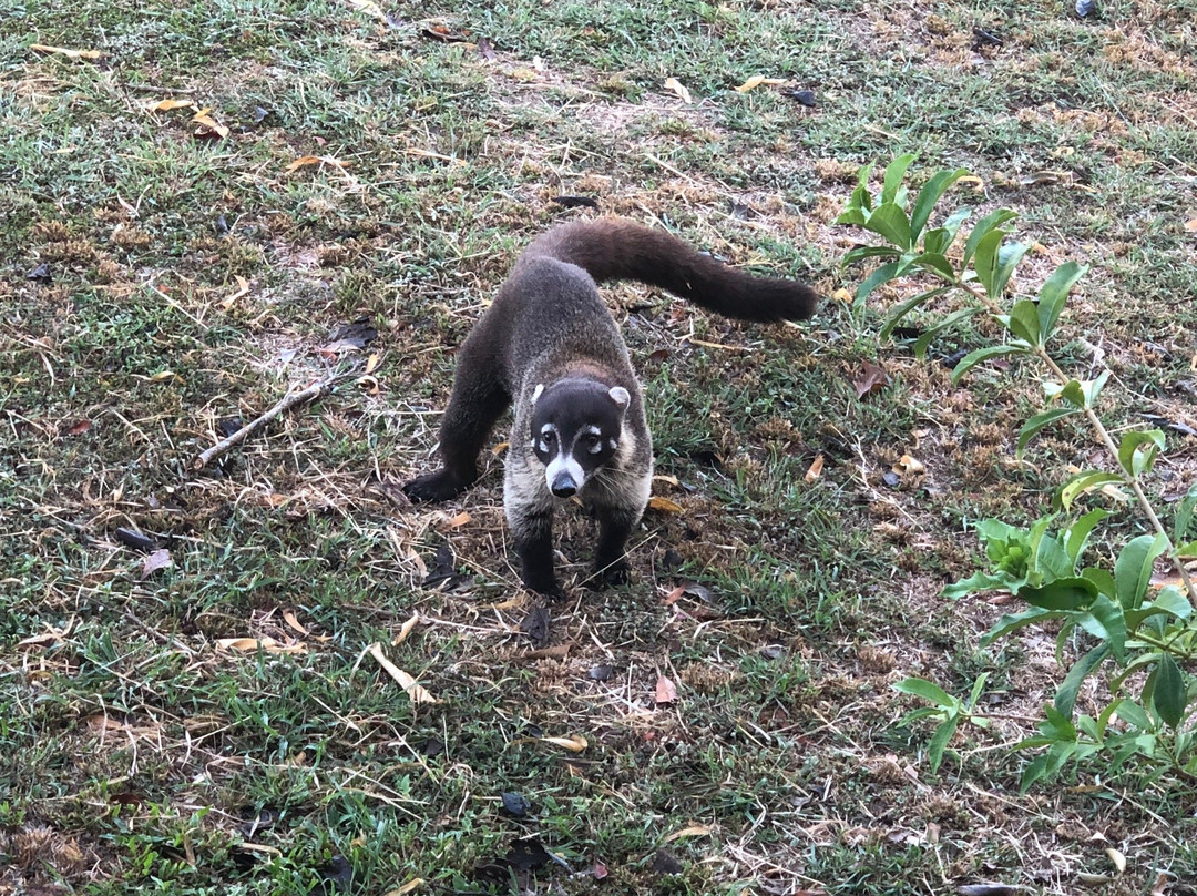 La Posada Bed & Breakfast主图