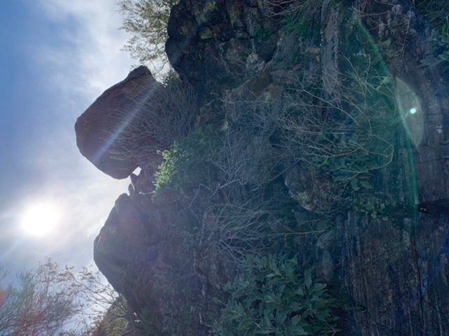 Skyline Regional Park-Buckeye必去景点