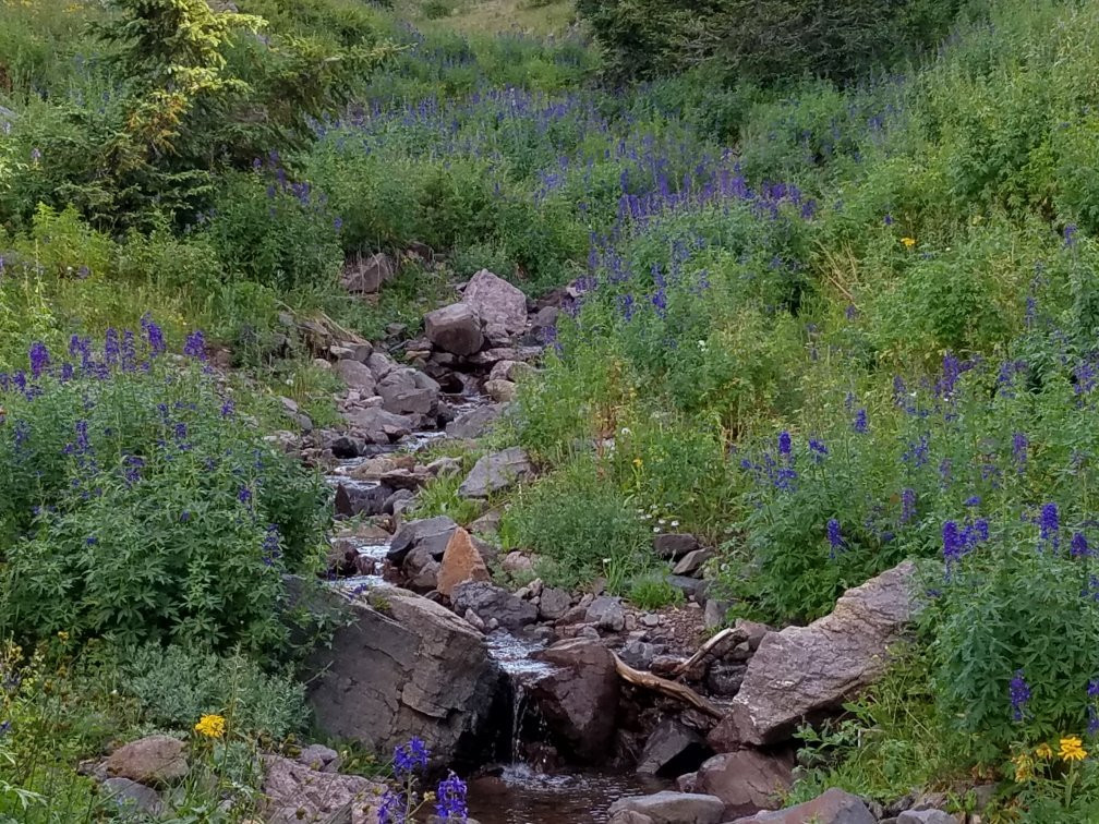 Tushar Mountains-Beaver必去景点