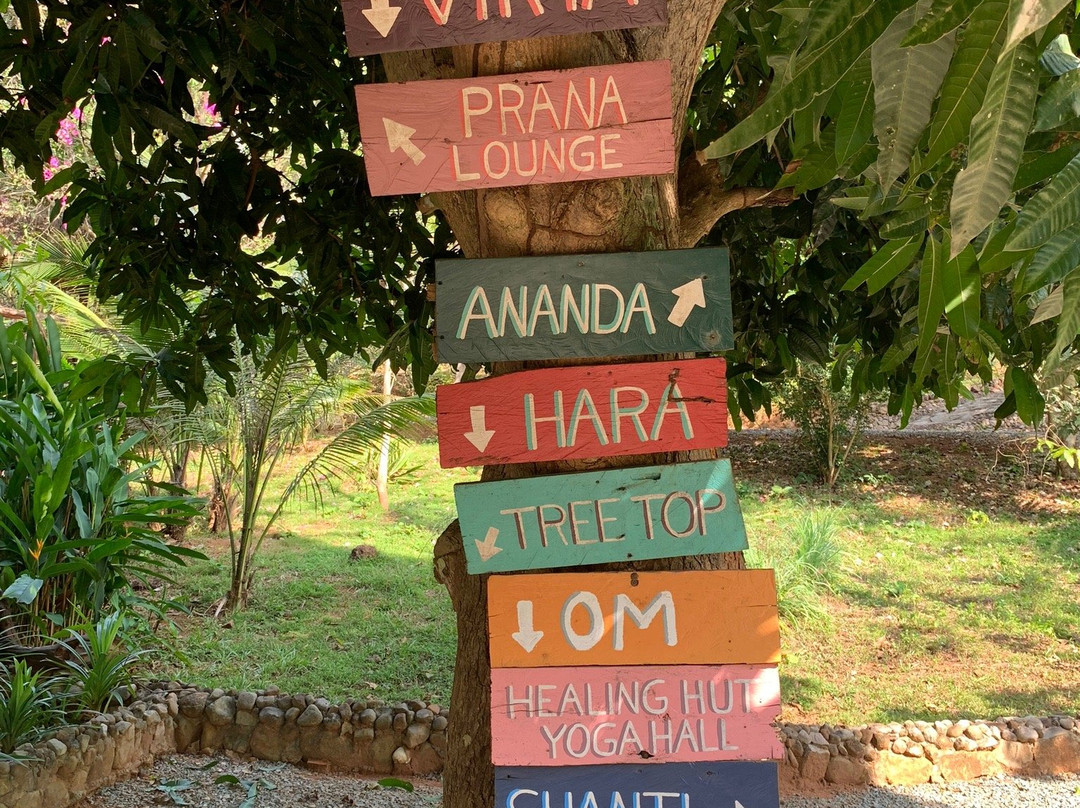 Vagabond Temple-白马必去景点