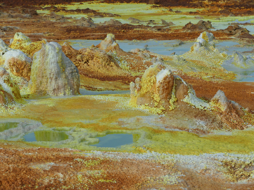 Rock Ethiopia Tours景点图片