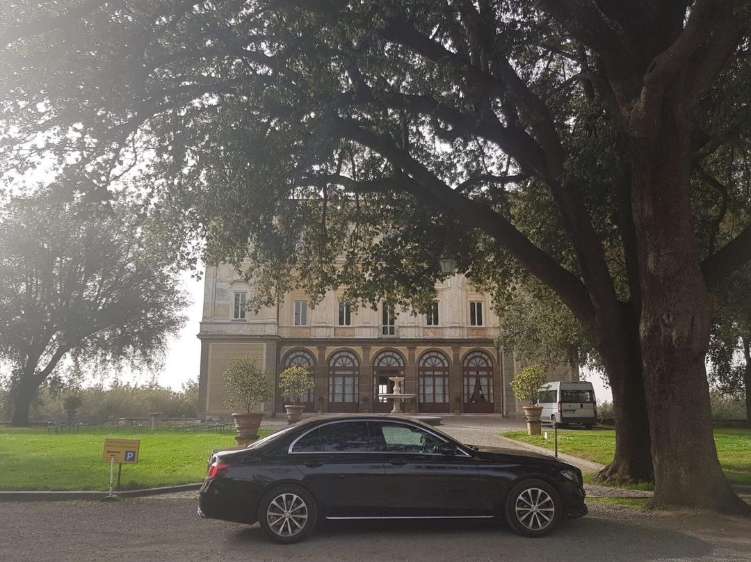 C.T.M. Limousine Tours end experiences-罗马必去景点