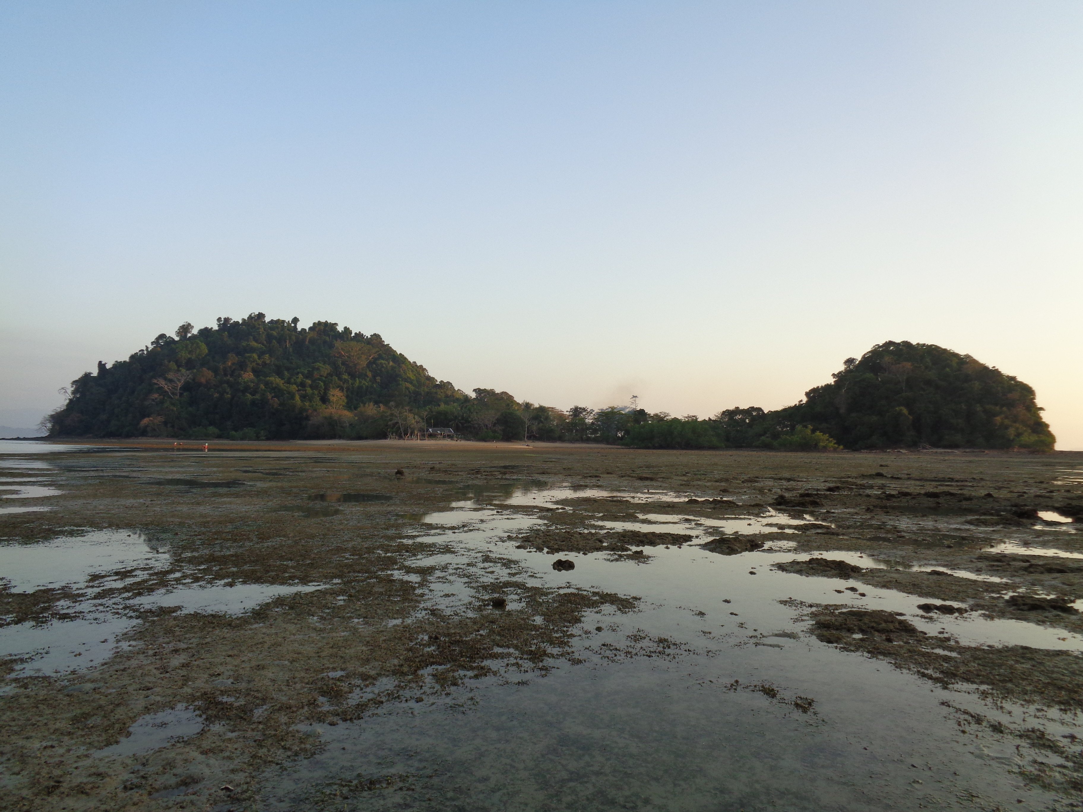 Reggae Island Private Island-泳池