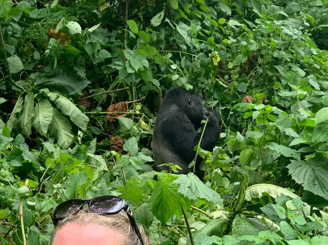 Albertine Valley Lodge主图