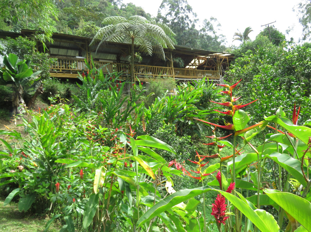 Finca Demostrativa Don Miguel-Villamaria必去景点