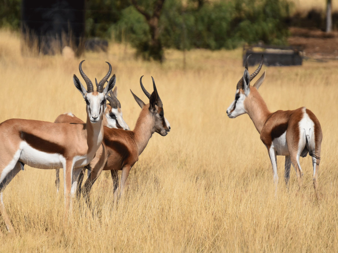 Blue Rain Guest House主图