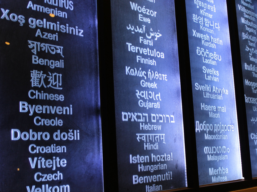 Hilton Garden Inn Dallas/Arlington South主图