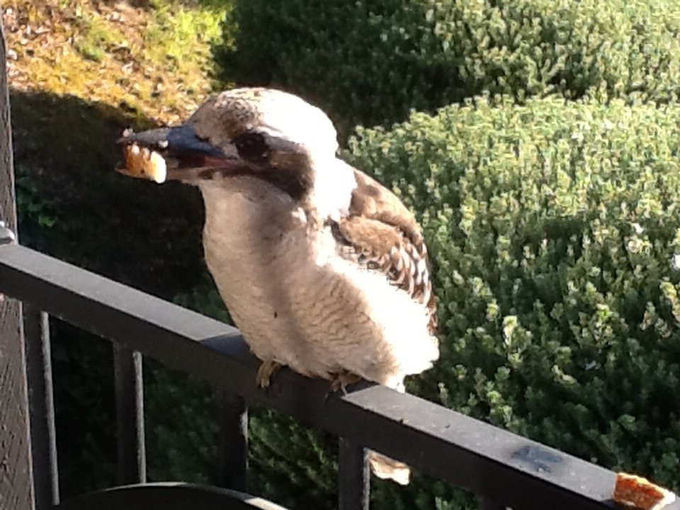 Edgewater Terraces at Metung主图