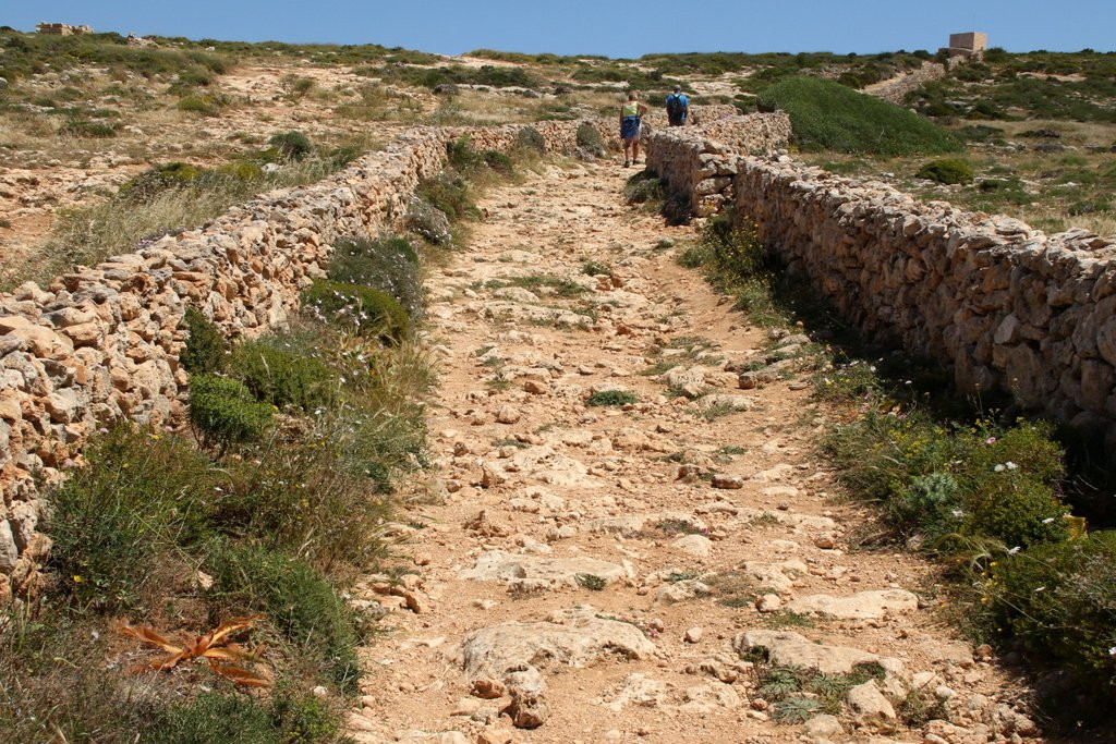 Il-Majjistral Nature and History Park景点图片