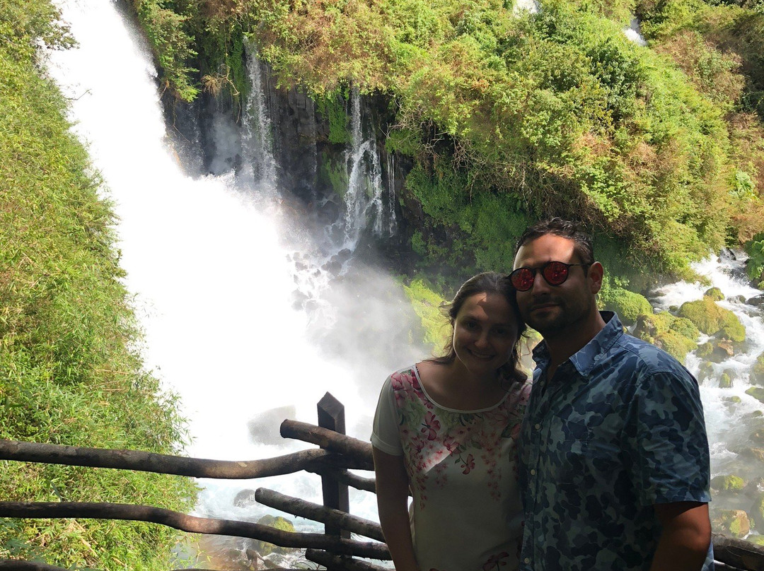 Ojos del Huishue-Lago Ranco必去景点