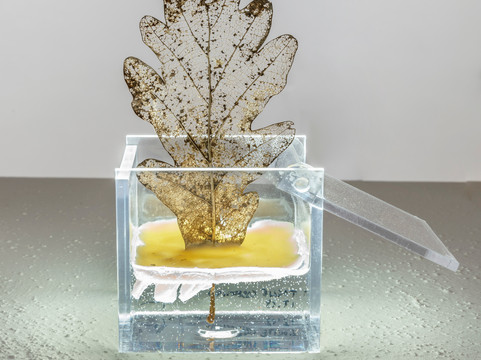 Nous Art Gallery-圣吉米尼亚诺必去景点