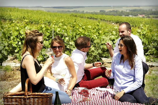 OenoSpheres-兰斯必去景点