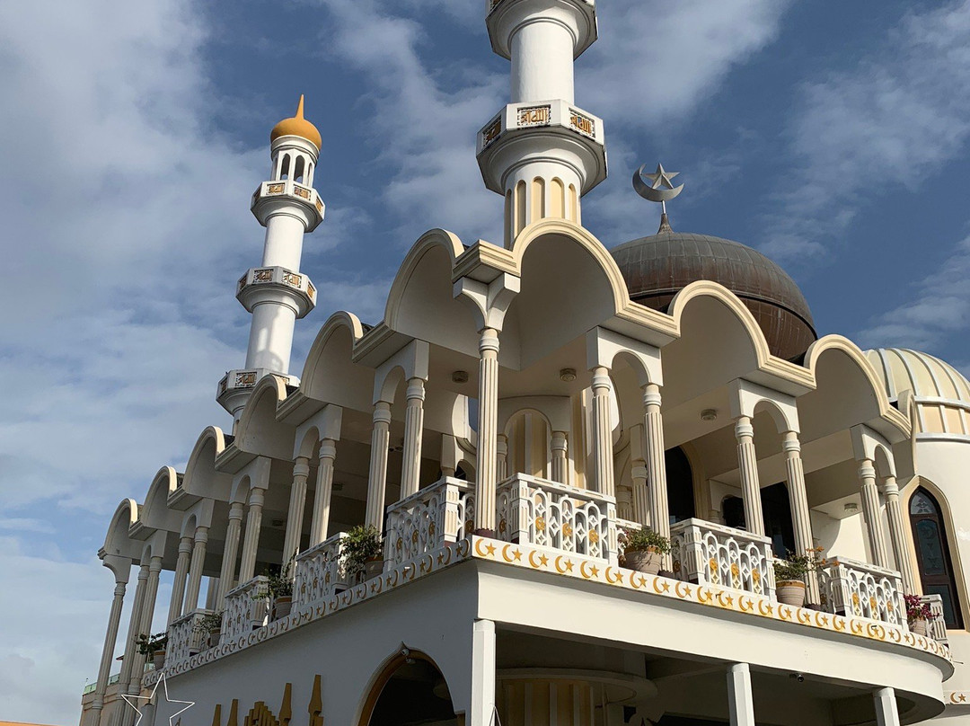 Suriname City Mosque景点图片