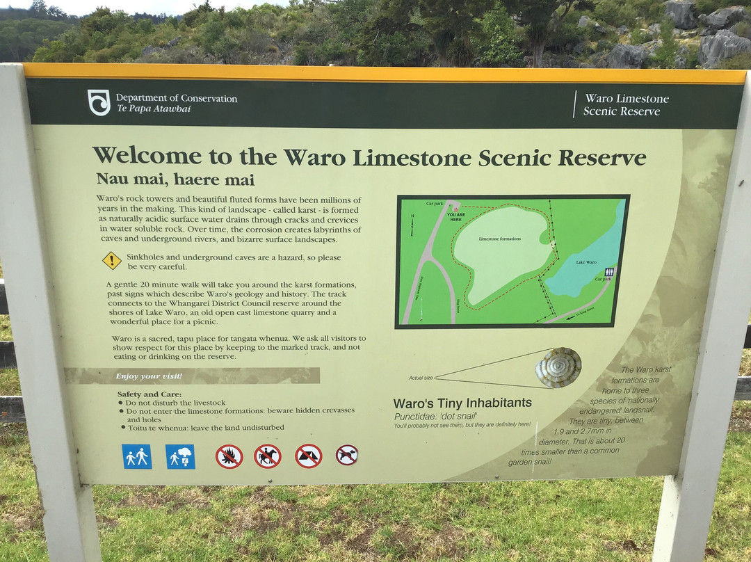 Waro Limestone Scenic Reserve Walk景点图片
