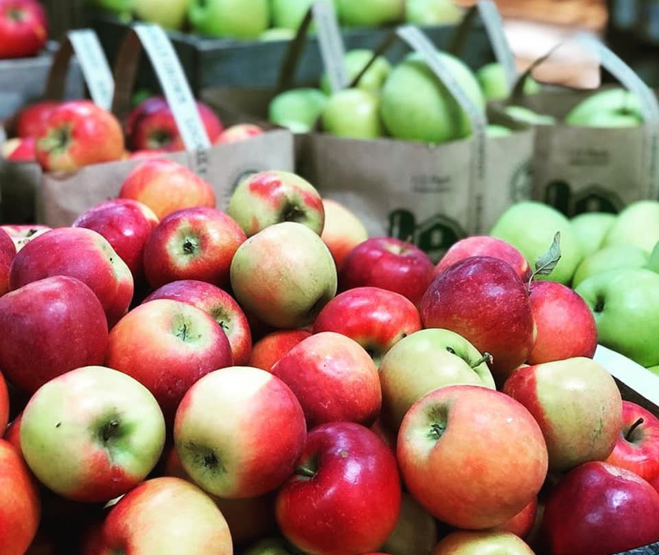 Evans Orchard & Cider Mill-Georgetown必去景点