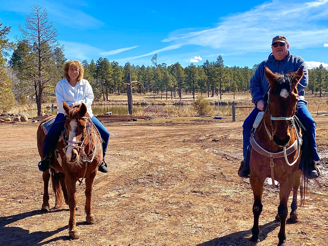 Porter Mountain Stables-Pinetop-Lakeside必去景点