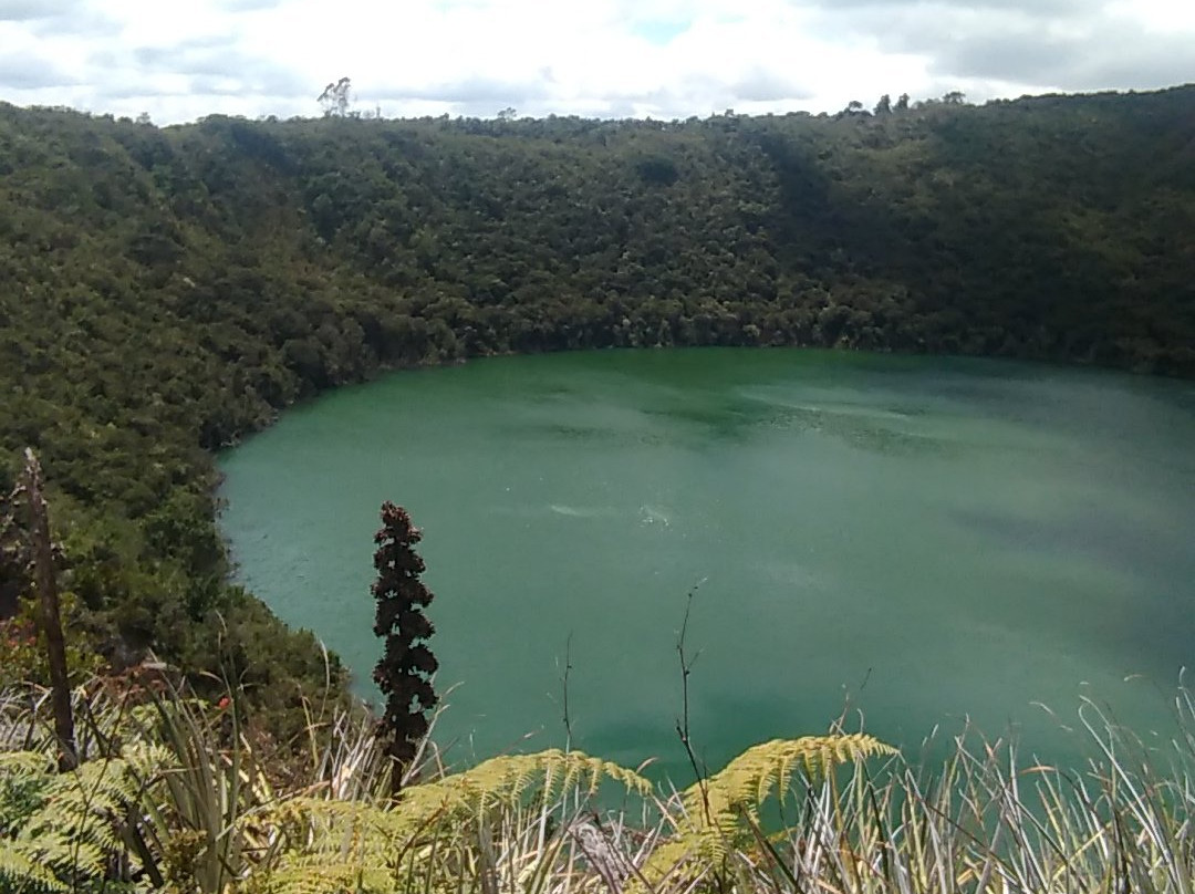 Laguna de Guatavita景点图片