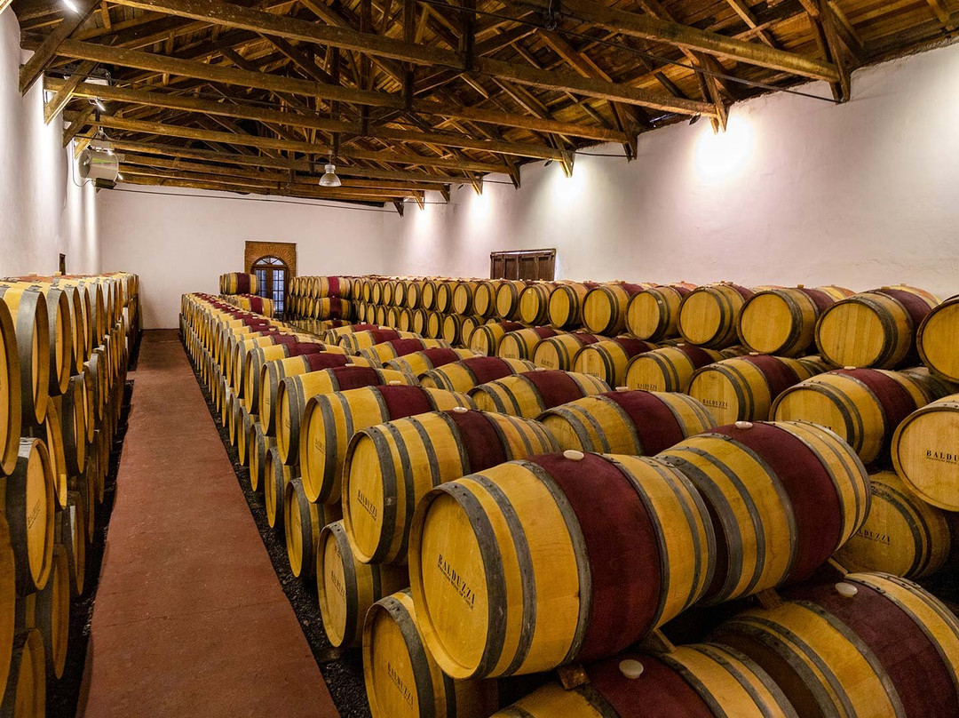 Balduzzi Vineyards & Winery-San Javier必去景点