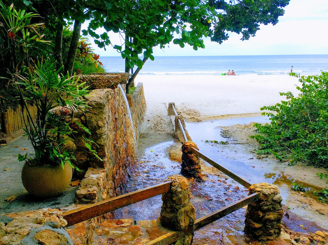 Praia Tijucopava景点图片