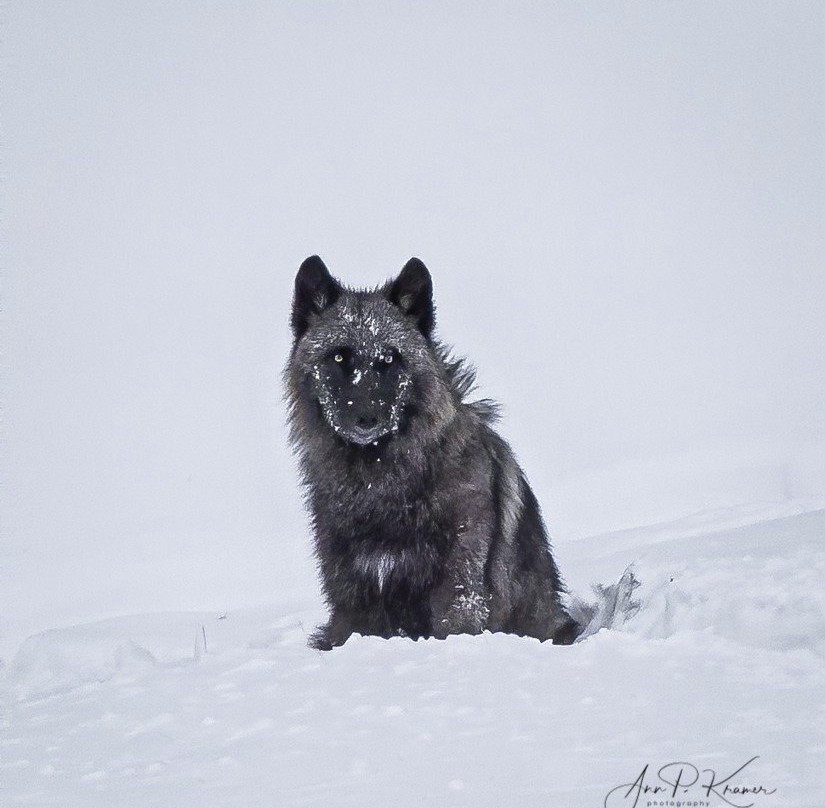 Trent Sizemore Photography-西黄石镇必去景点