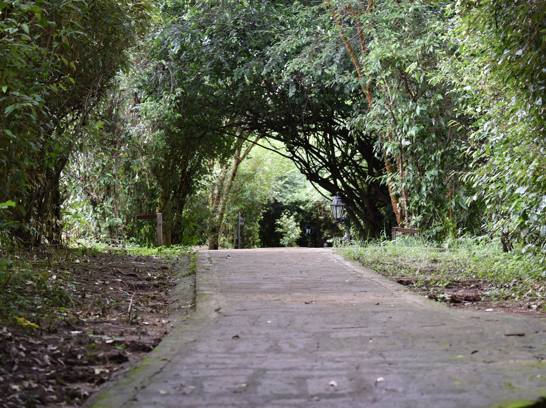 马塞马拉度假帐篷酒店主图