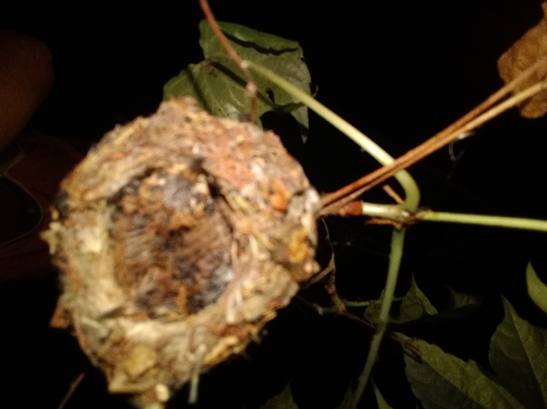 Posada La Masia主图