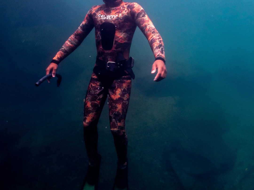 Apnosphere Freediving Mauritius-蓝湾必去景点